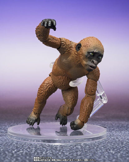 S.H.MONSTERARTS Godzilla x Kong: The New Empire - Suko & Mothra (2024) & Option Parts Set